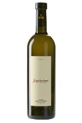 Weisswein, Sauvignon Blanc Ried Sernauberg, Grosse STK Lage, 2020, Weingut Sattlerhof
