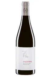 Rotwein, Blaufränkisch Ungerberg, 2021, Weingut Paul Achs