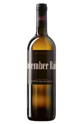 Weisswein, November Rain Chardonnay, 2020, Weingut Ewald Zweytick