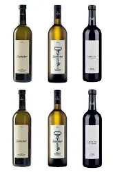 Weisswein, Trinkaus Kollektionskiste, Weingut Sattlerhof