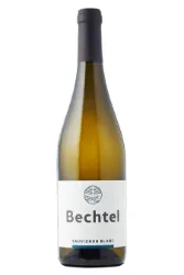 Weisswein, Sauvignon Blanc, 2024, Bechtel Weine