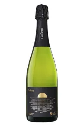 Schaumwein, Gran Reserva, 2019, Cava Guilera