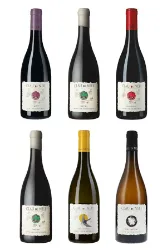 Degustations-Box Frankreich