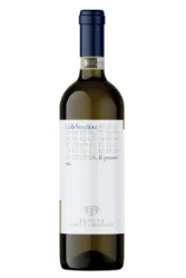 Weisswein, Colle Vecchio, 2024, Tenuta Cocci Grifoni