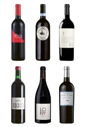 100% Merlot - ganz grosse Weine