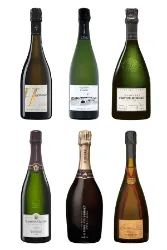 Schaumwein, 6 Jahrgangs-Champagner für besondere Momente.