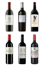 Bordeaux 2022 - Max Gerstl: der Beste Jahrgang aller Zeiten.