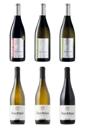 Bechtel - Grossartige Weine aus Eglisau