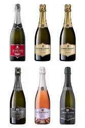 Degustations-Box Schaumweine
