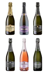 Degustations-Box Schaumweine