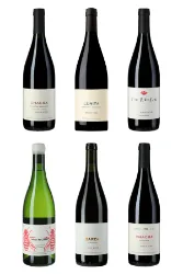 Chacra - Das Überflieger Weingut aus Patagonien