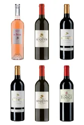 Château Seguin - DER Geheimtipp in Bordeaux