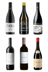 Degustations-Box Portugal