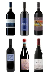 Die grossen Weine der Toscana