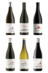 Degustations-Box Spanien