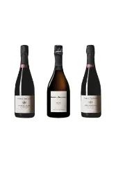 Tiefgründige Grand Cru Champagner