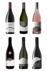 Palmento Costanzo - Topweingut vom Etna