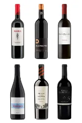 Ribera del Duero