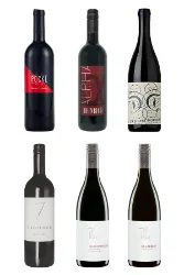 Rotweine aus Österreich für jeden Tag