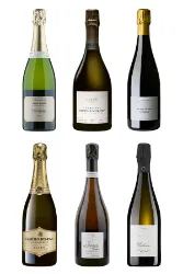 Schaumwein, Unsere «Sélection-Chardonnay» mit 6 erstklassigen Blanc de Blancs