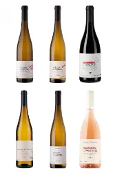 Unbedingt kennen lernen - Weine von den Azoren