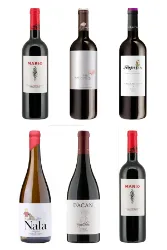 Vega Clara: Die Macherin des Marios überzeugt auf der ganzen Linie