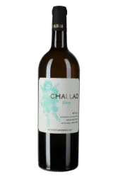 Dominio del Challao