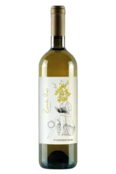 Weisswein, Zacinta Revi, 2021, Ficomontanino