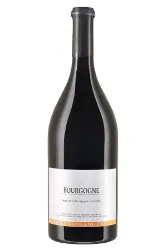 Rotwein, Bourgogne Côte d'Or, 2023, Domaine Tollot-Beaut
