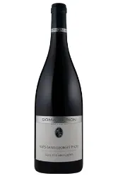 Rotwein, Nuits-Saint-Georges Clos des Argilières, 2021, Domaine Michèle & Patrice Rion