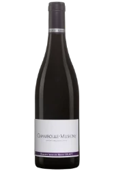 Rotwein, Chambolle-Musigny, 2019, Domaine Anne et Hervé Sigaut