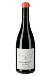 Rotwein, Pinot Noir, 2020, Domaine Dominique Gruhier
