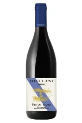 Rotwein, Pinot Noir, 2020, Bollini