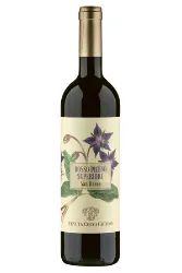 Rotwein, San Basso, 2023, Tenuta Cocci Grifoni