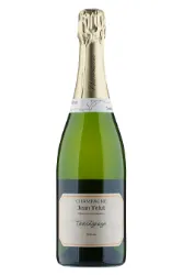 Schaumwein, Témoignage, 2015, Jean Velut