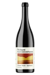 Rotwein, Pinot Noir Spissen, 2023, Weingut Kastanienbaum