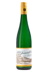 Weisswein, Grauschiefer Riesling, 2021, Schloss Saarstein
