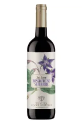 Rotwein, San Basso, 2023, Tenuta Cocci Grifoni