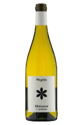 Weisswein, Malanser Chardonnay, 2024, Weingut Wegelin