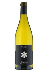 Weisswein, Scadena Weissburgunder, 2022, Weingut Wegelin