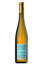 Weisswein, Gundersheimer Riesling, 2023, Weingut Wittmann