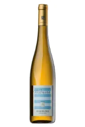 Weisswein, Riesling Niersteiner, 2024, Weingut Wittmann