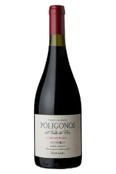 Rotwein, Poligonos Cabernet Franc San Pablo, 2019, Zuccardi