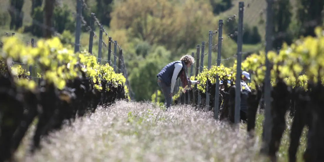 Weingut Richard Östreicher