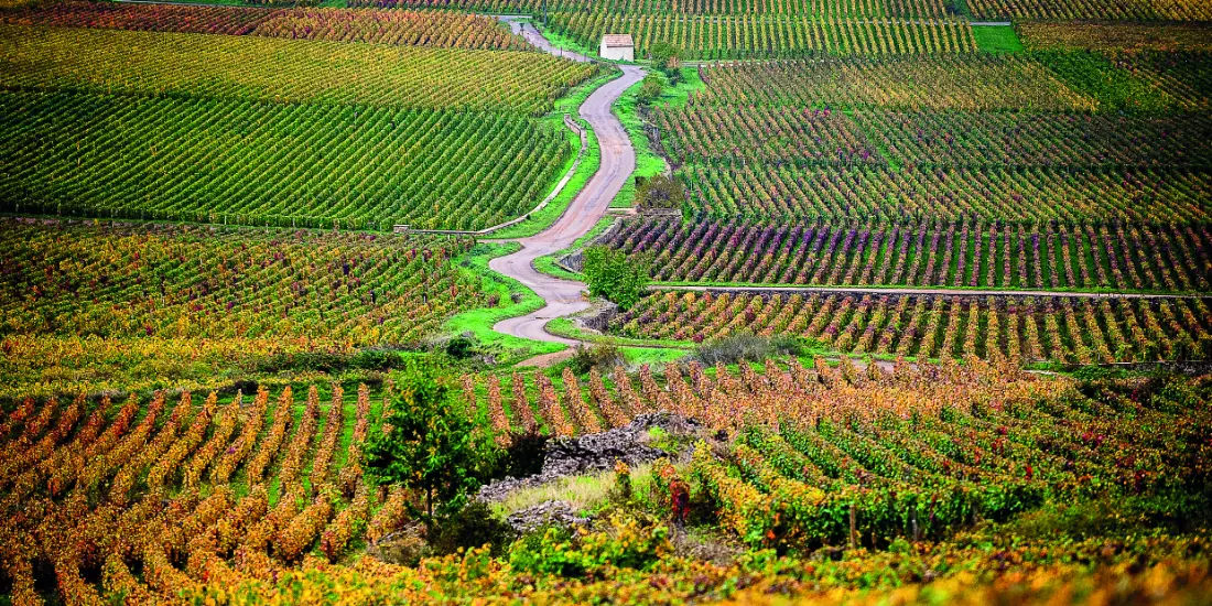 Domaine Hubert Lamy