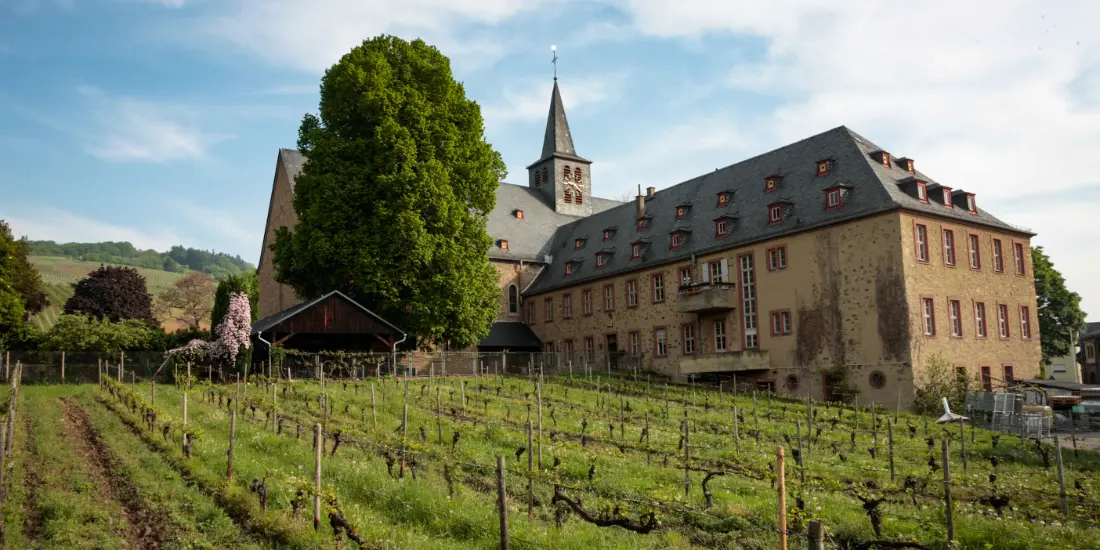 Bischöfliches Weingut