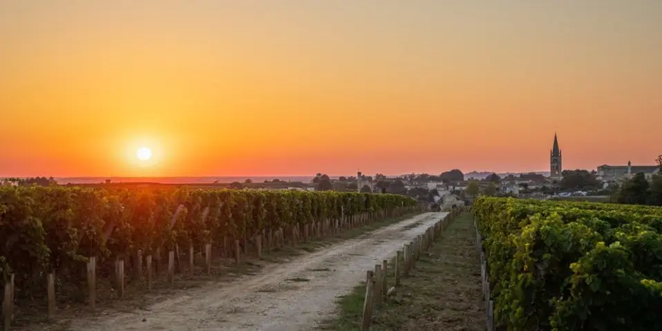 Château Trotte Vieille