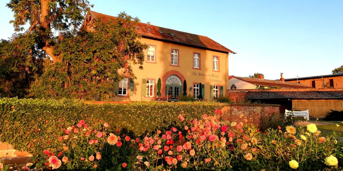 Weingut Dr. Bürklin-Wolf