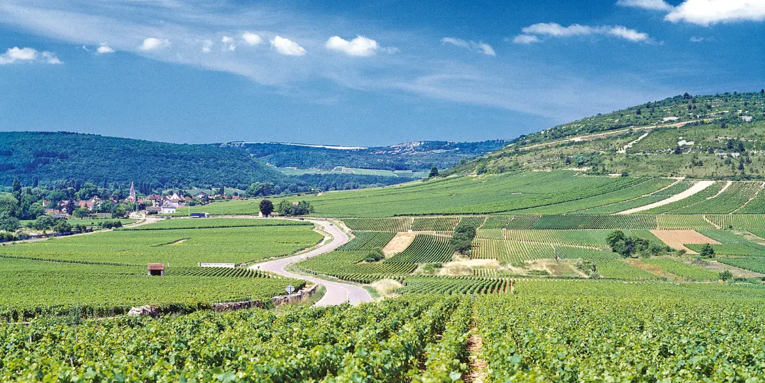 Domaine de la Romanée-Conti