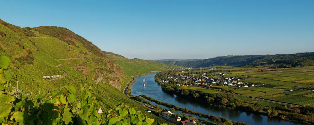 Weingut Willi Schaefer